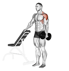 Dumbbell One Arm Lateral Raise with support exercise demonstration for Shoulders, Dumbbell