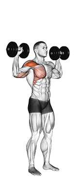 Dumbbell One Arm Shoulder Press exercise demonstration