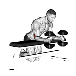 Dumbbell Over Bench Neutral Wrist Curl exercise demonstration