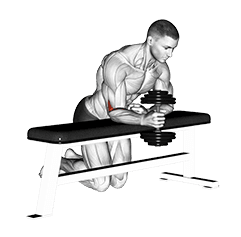 Dumbbell Over Bench One Arm Neutral Wrist Curl exercise demonstration