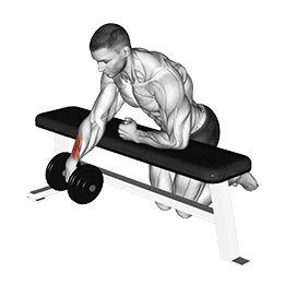 Over Bench One Arm Wrist Curl exercise demonstration for Forearms, Dumbbell