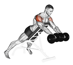 Dumbbell Rotation Reverse Fly exercise demonstration