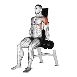 Dumbbell Seated Lateral Raise exercise demonstration for Shoulders, Dumbbell