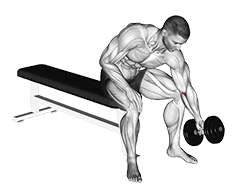 Dumbbell Seated One Arm Rotate exercise demonstration for Forearms, Dumbbell