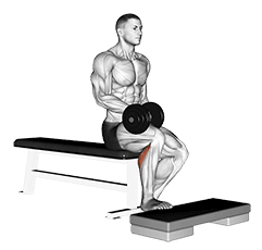 Dumbbell Seated One Leg Calf Raise exercise demonstration for Calves, Dumbbell