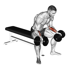Dumbbell Seated Palms Up Wrist Curl exercise demonstration for Forearms, Dumbbell