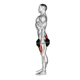 Dumbbell Squat exercise demonstration
