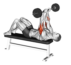 EZ Barbell Decline Close grip Face Press exercise demonstration