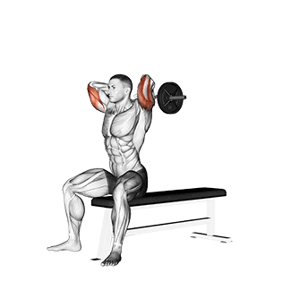 Seated Triceps Extension exercise demonstration