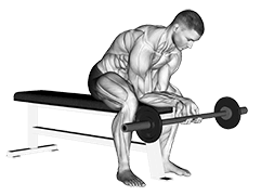 Finger Curls exercise demonstration