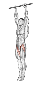 Hanging Leg Raise exercise demonstration