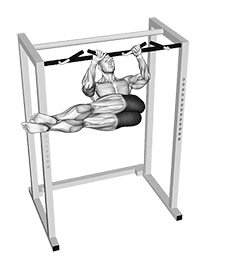 Hanging Straight Twisting Leg Hip Raise exercise demonstration for Waist, Body weight