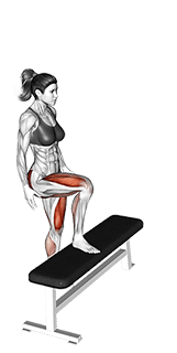 High Knee Step-up exercise demonstration for Hips, Body weight