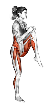 High Knee Twist exercise demonstration for Cardio, Body weight