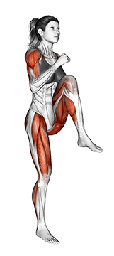 High knees butt kicks exercise demonstration for Cardio, Body weight