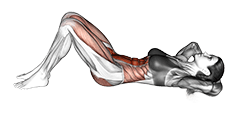 Hip Raise Crunch exercise demonstration