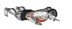 Isometric Wipers exercise demonstration