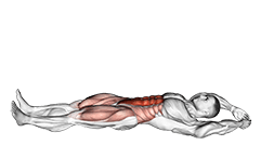 Jackknife Sit-Up exercise demonstration