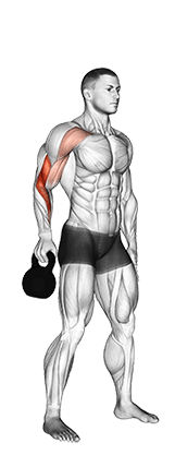 Kettlebell Bottoms Up Clean From The Hang Position exercise demonstration