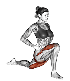 Kneeling Hip Flexor exercise demonstration