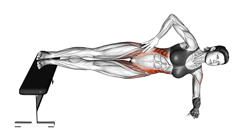 Leg Bench Side Bridge exercise demonstration