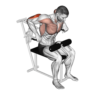 Lever Overhand Triceps Dip exercise demonstration for Triceps, and Upper Arms, Leverage machine