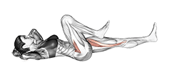 Lying Simultaneous Alternating Leg Raise exercise demonstration