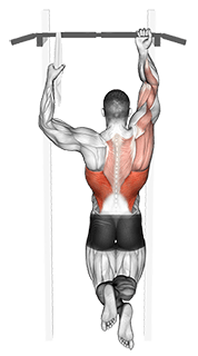 One Arm Chin-Up exercise demonstration