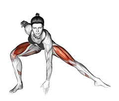 Plyo Side Lunge Stretch exercise demonstration