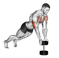 Push-Up Close-grip off Dumbbell exercise demonstration
