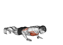 Raise Single Arm Push-up exercise demonstration