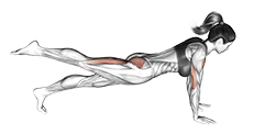 Raise Single Leg Push-up exercise demonstration for Chest, Body weight