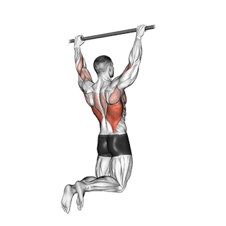 Rear Pull-up exercise demonstration for Back, Body weight