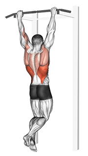 Rocky Pull-Up Pulldown exercise demonstration