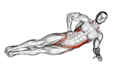 Side Bridge exercise demonstration for Waist, Body weight