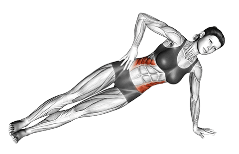 Side Plank exercise demonstration for Waist, Body weight