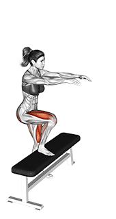 Single Leg Step-up exercise demonstration