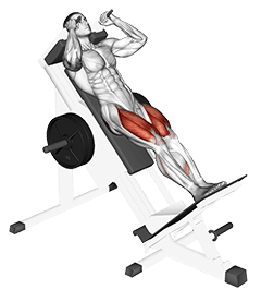 Sled Closer Hack Squat exercise demonstration