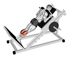 Sled Forward Angled Calf Raise exercise demonstration