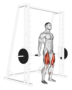 Smith Hack Squat exercise demonstration for Hips, Smith machine