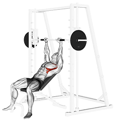 Smith Incline Shoulder Raises exercise demonstration