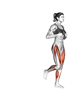 Square Hop exercise demonstration for Plyometrics, Body weight