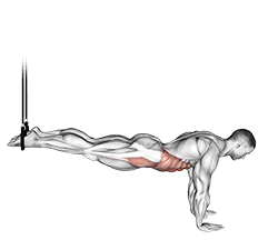 Suspended Reverse Crunch exercise demonstration