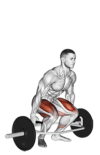Trap Bar Deadlift exercise demonstration