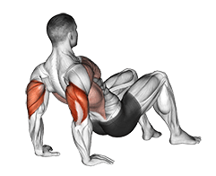 Triceps Dips Floor exercise demonstration for Triceps, and Upper Arms, Body weight