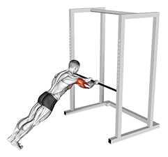 Triceps Press exercise demonstration
