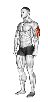 Triceps Stretch exercise demonstration for Triceps, and Upper Arms, Body weight