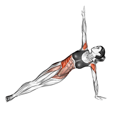 Twist Side Bridge exercise demonstration for Shoulders, Body weight