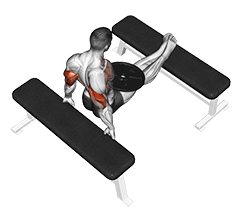 Bench Dip exercise demonstration for Triceps, and Upper Arms, Weighted