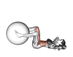 Weighted Leg Extension Crunch exercise demonstration